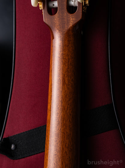 ASTURIAS Solo Classico S Limited Edition