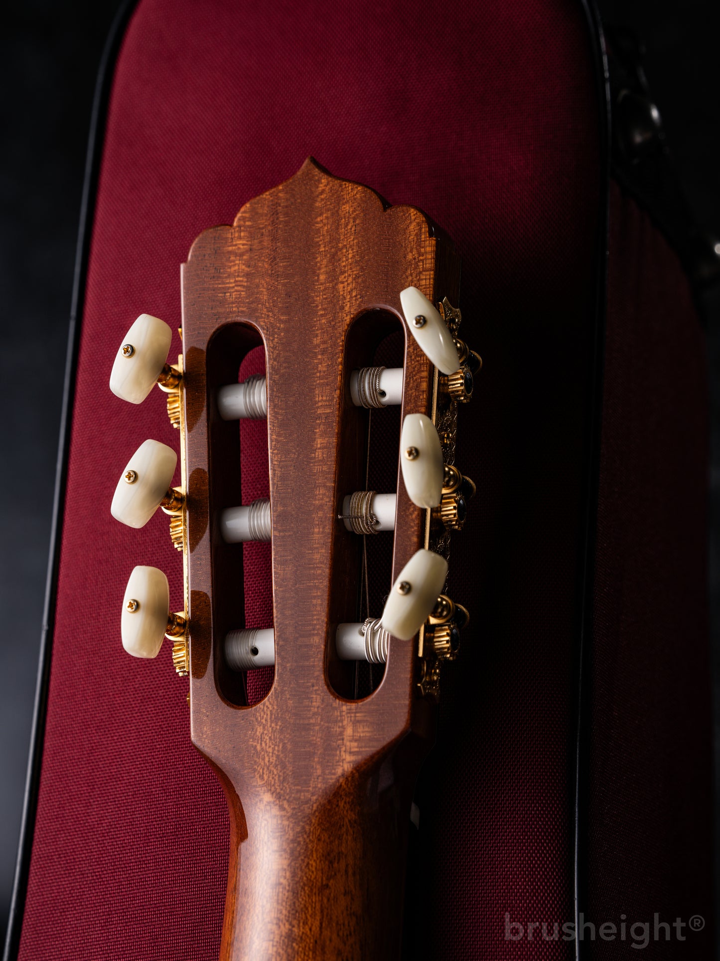 ASTURIAS Solo Classico S Limited Edition