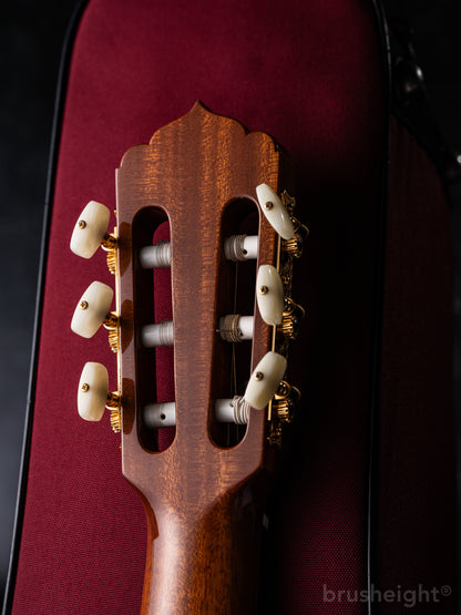 ASTURIAS Solo Classico S Limited Edition