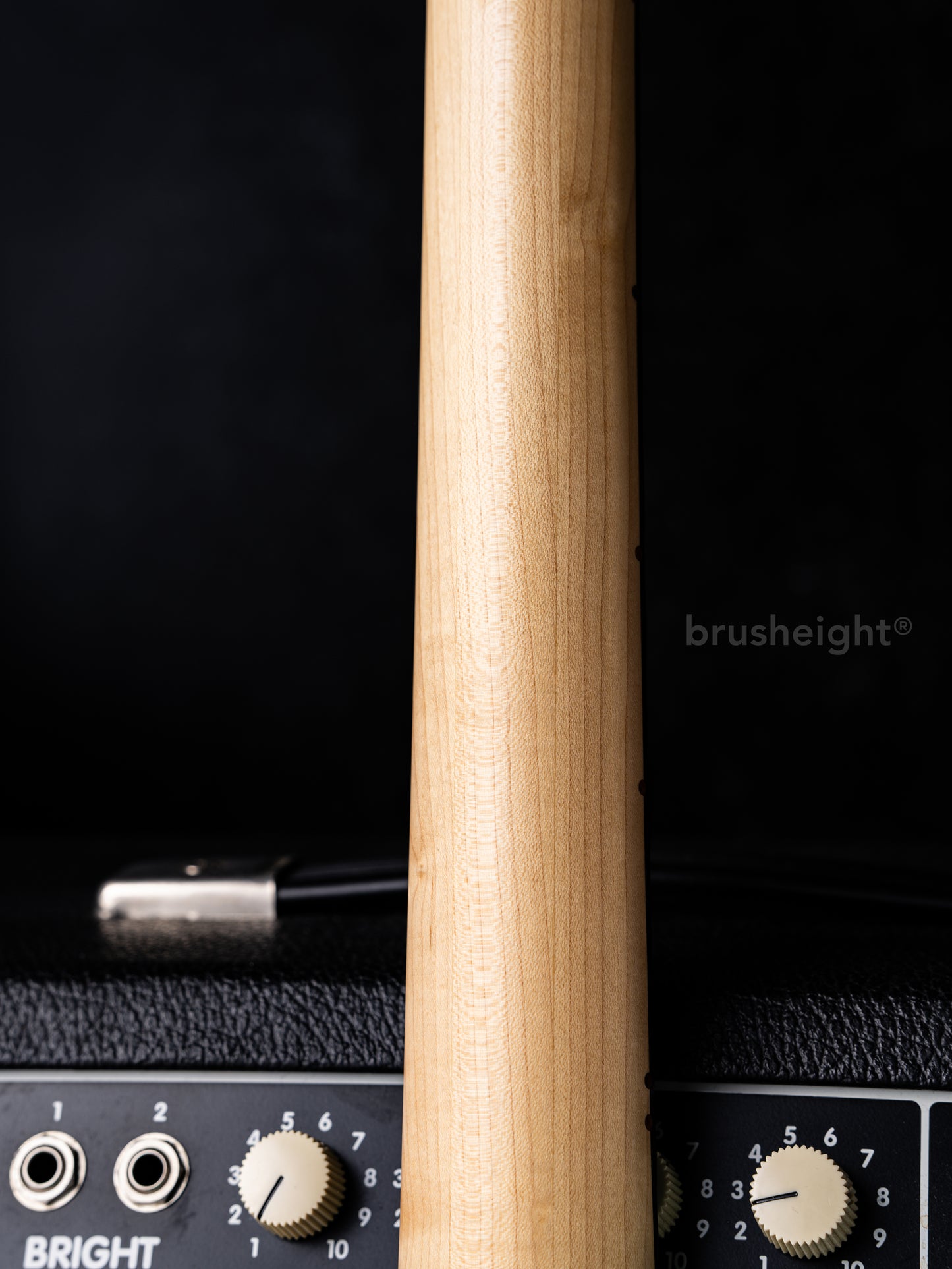 Truth TSJ-201　“TF Blue”